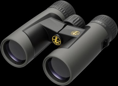 Leupold BX-2 Alpine HD 10x42 binocular in shadow gray