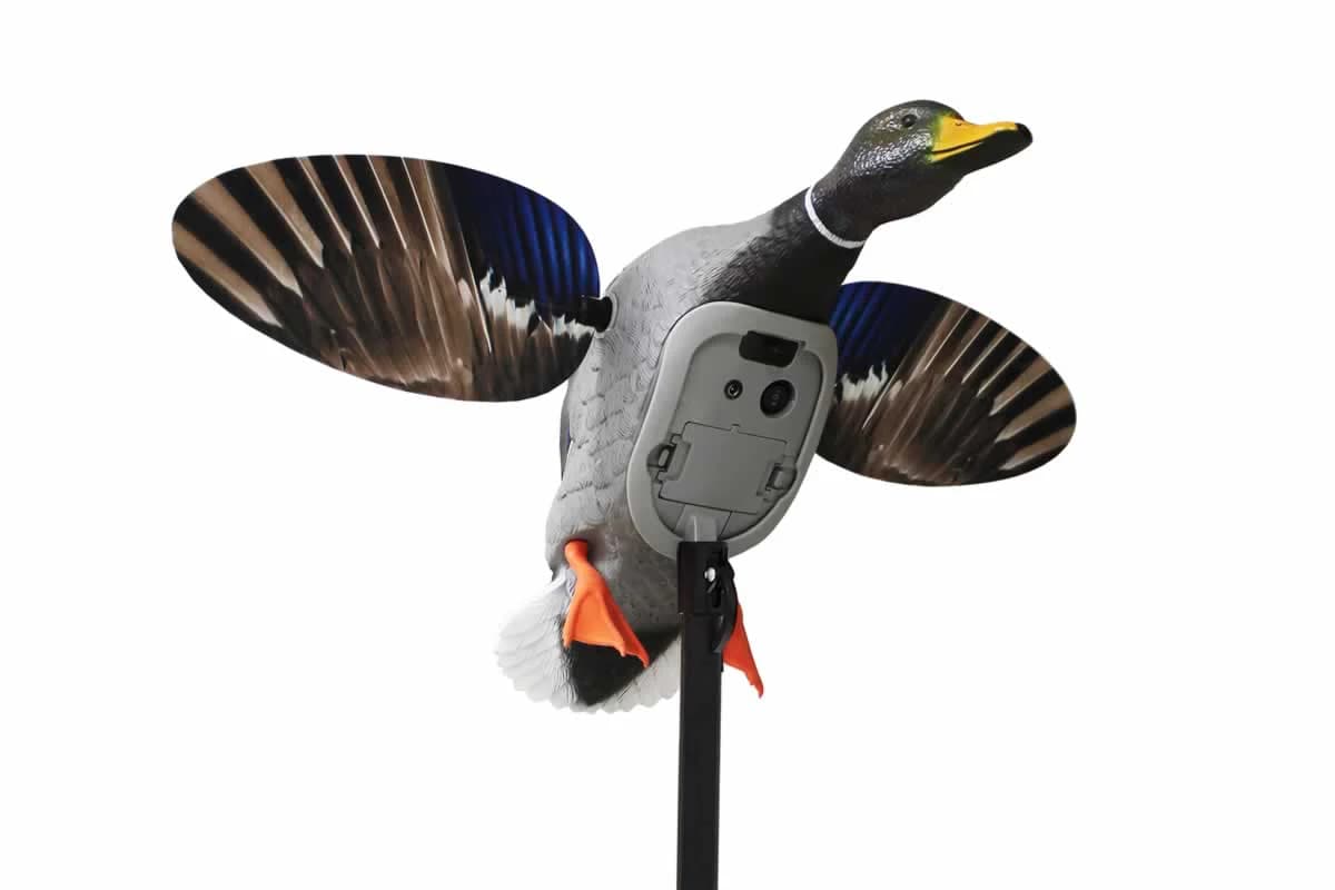 MOJO Elite Series King Mallard spinning-wing decoy with 6V lithium-ion battery housing