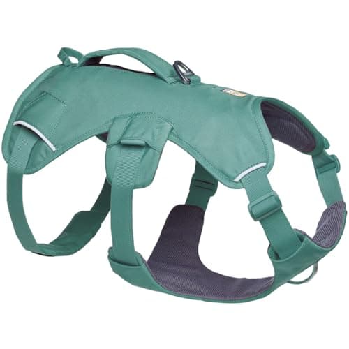 Ruffwear, Web Master, Multi-Use Support Dog Harness, Hiking and Trail Running, Service and Working, Everyday Wear, River Rock Green, Medium